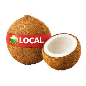 Local Mature Coconut