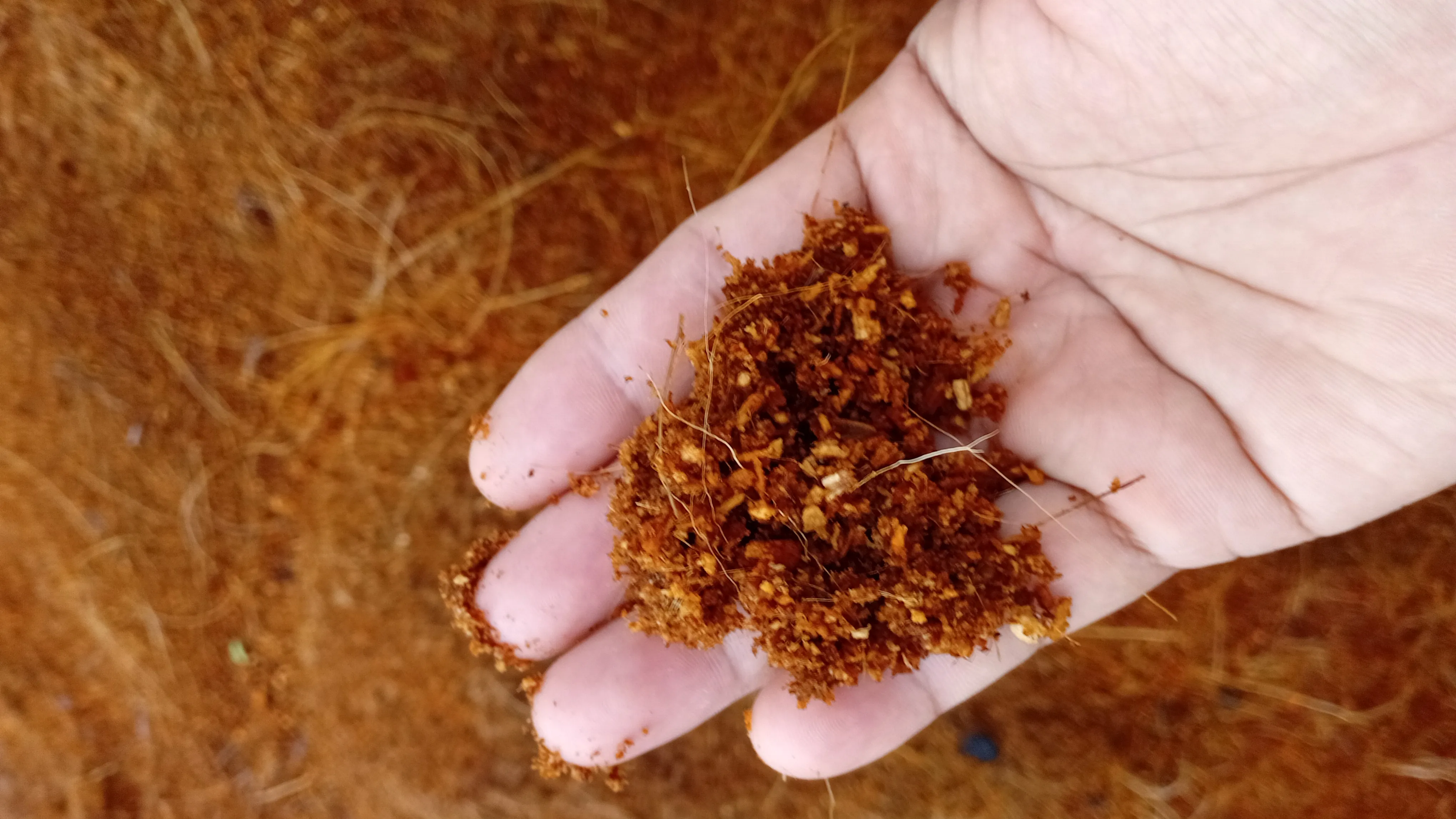 Cocopeat
