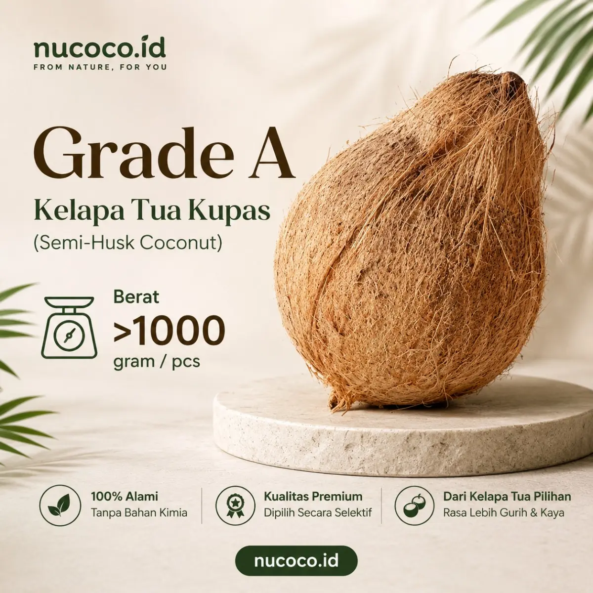Kelapa Tua Grade A